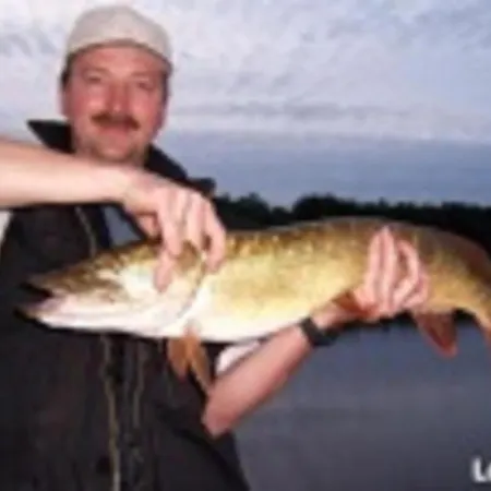 Alloggio in famiglia Marka Goscinne Mielno (Koszalin)