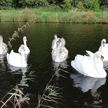 Marka Goscinne * Mielno (Koszalin)
