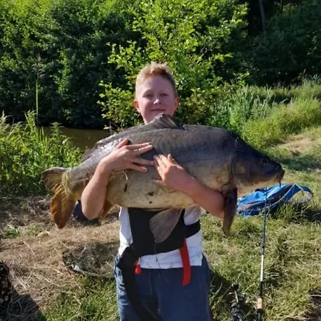 Alloggio in famiglia Marka Goscinne