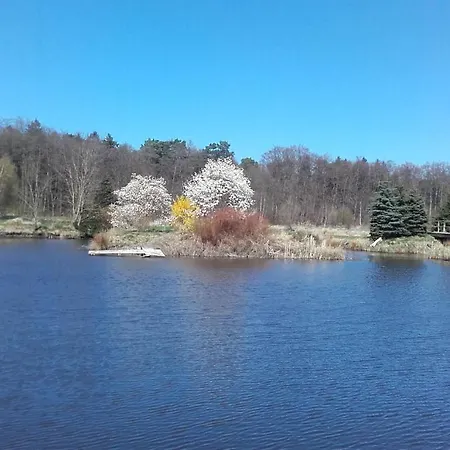 Marka Goscinne Rum i privatbostad Mielno (Koszalin)