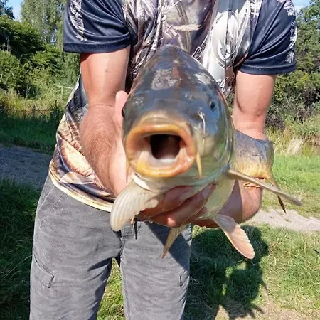 Marka Goscinne Rum i privatbostad *