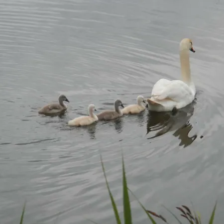 Marka Goscinne Rum i privatbostad Mielno (Koszalin)