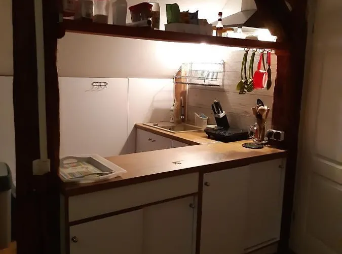 Marka Goscinne Проживание в семье *