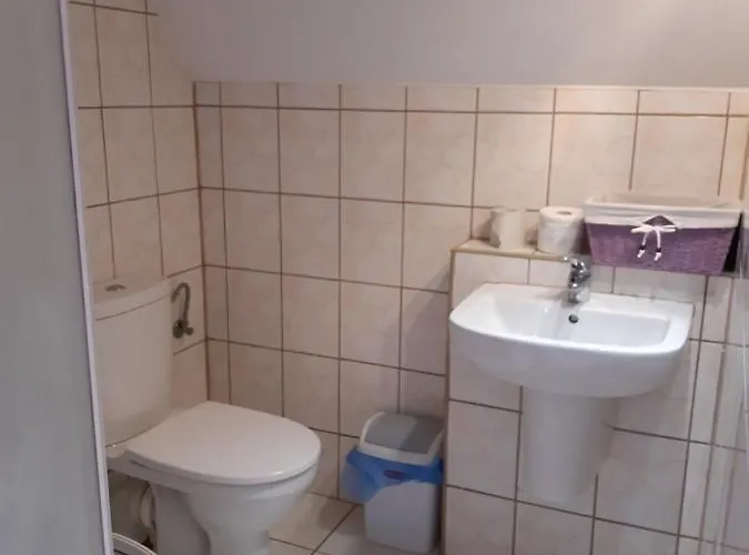 Marka Goscinne Проживание в семье *