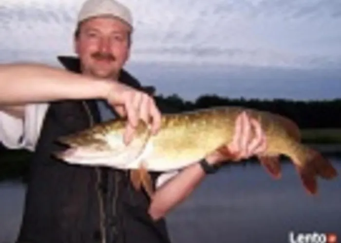 Проживание в семье Marka Goscinne Мельно