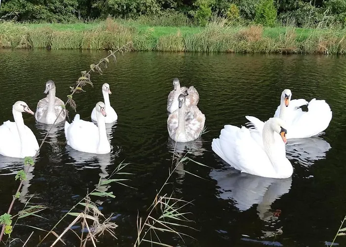 Marka Goscinne * Мельно