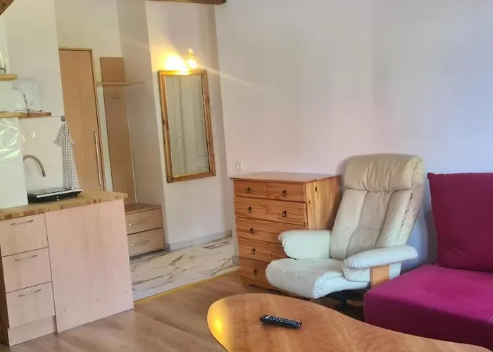 Marka Goscinne Проживание в семье