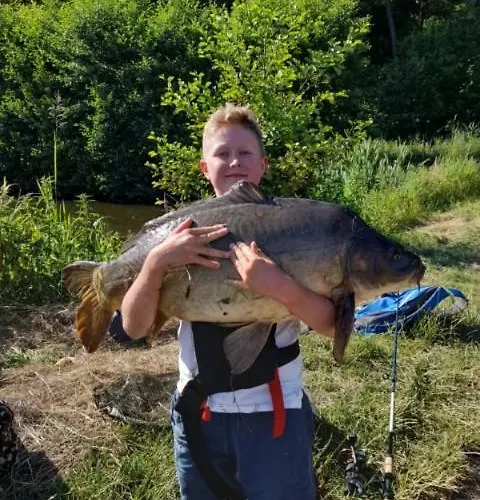 Проживание в семье Marka Goscinne