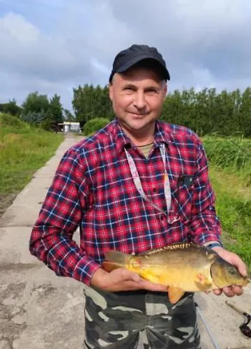 Проживание в семье Marka Goscinne