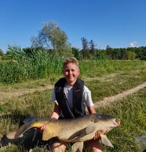 Marka Goscinne Мельно