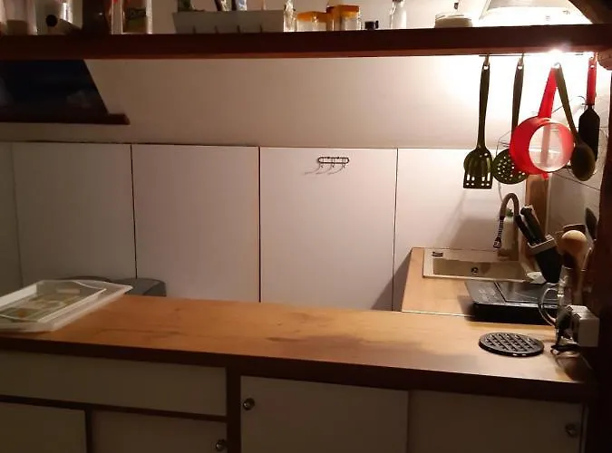 Marka Goscinne Проживание в семье