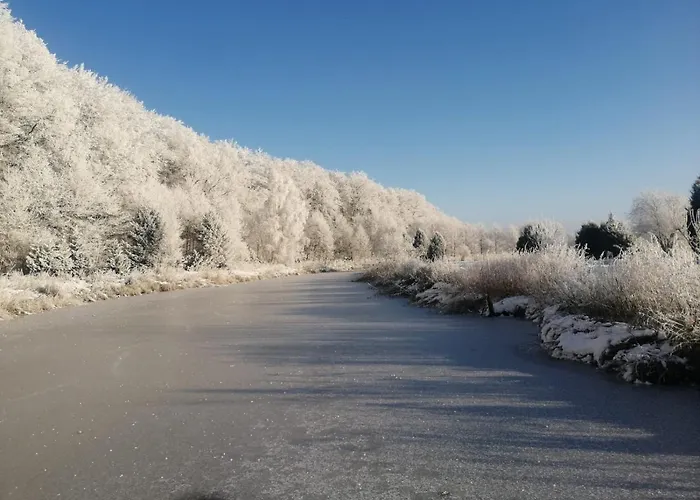 Проживание в семье Marka Goscinne Мельно