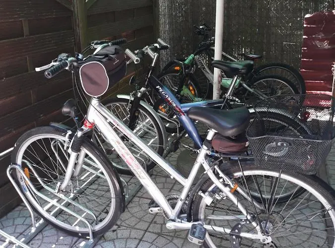 Marka Goscinne Проживание в семье *