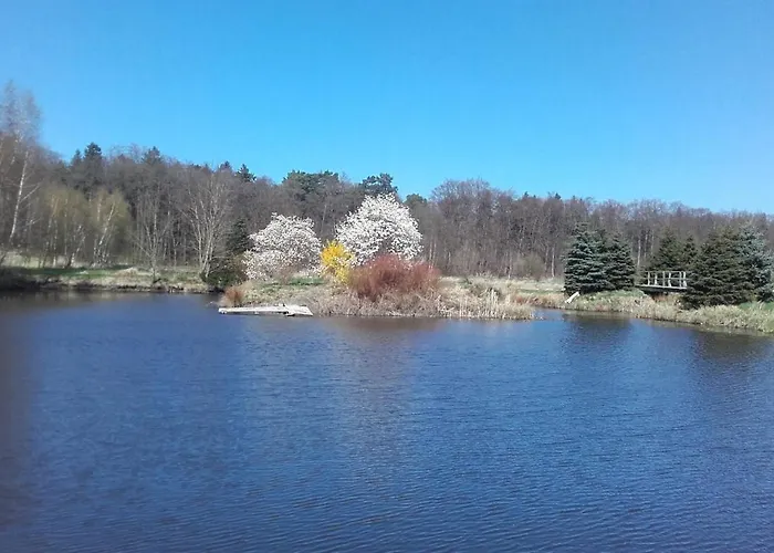 Marka Goscinne Проживание в семье Мельно