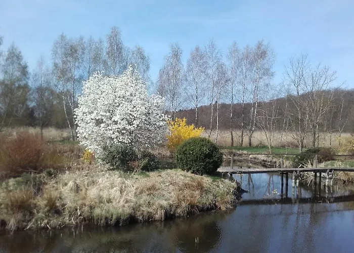 Marka Goscinne Мельно